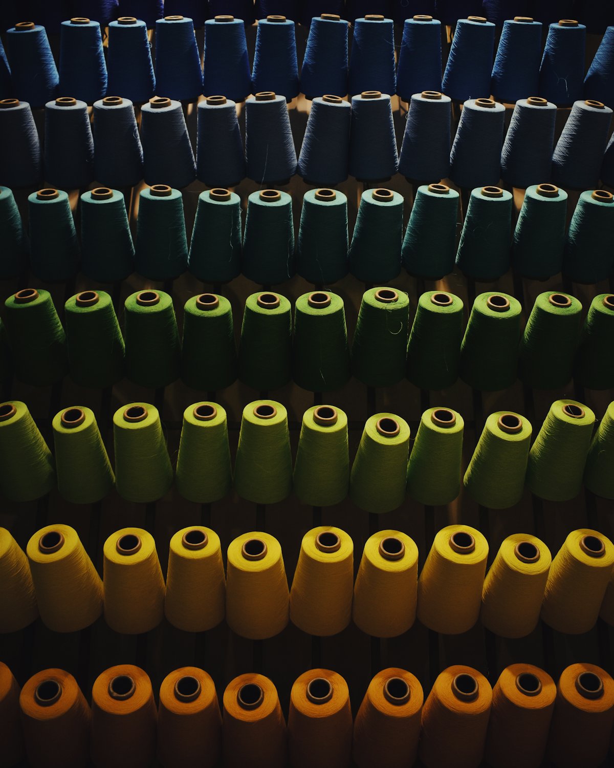 Rows of yarn cones graded from navy through green to yellow on a warehouse rack