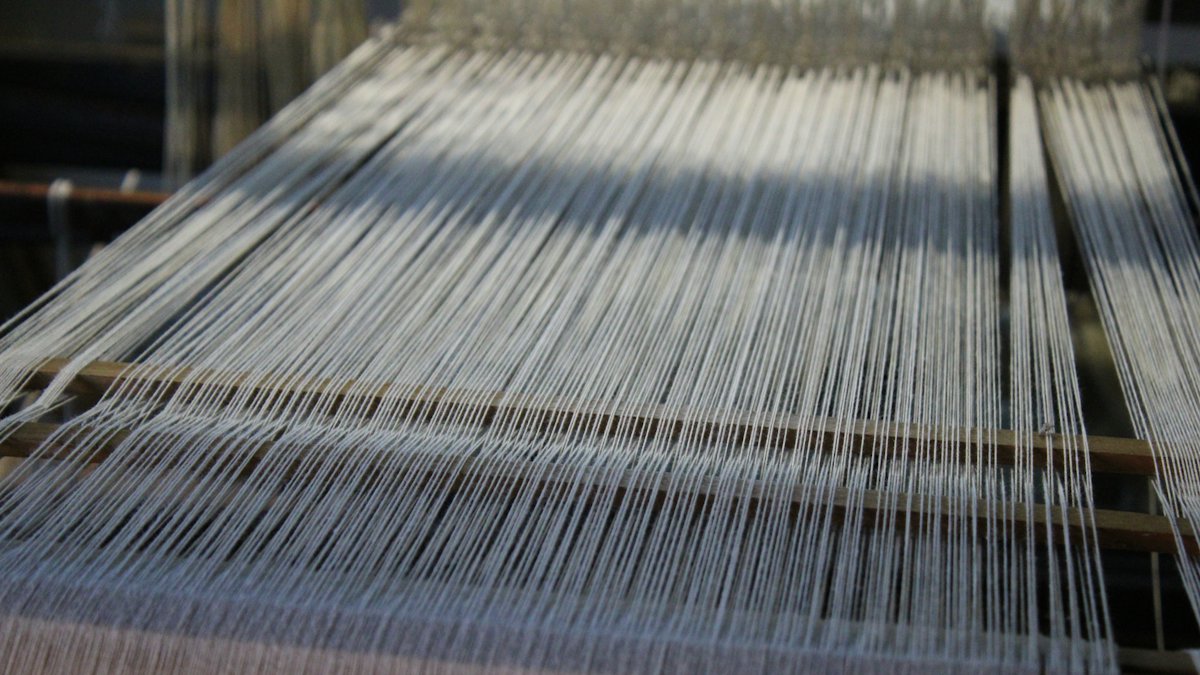 Warp threads stretched across a loom, close enough to count the individual ends